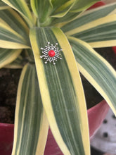 Load image into Gallery viewer, Red nose stud