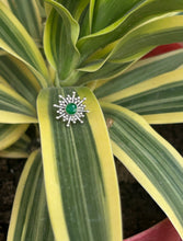 Load image into Gallery viewer, Green nosepin