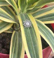 Load image into Gallery viewer, Mumtaz 13mm Stone Screw sterling Silver nosepin