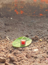 Load image into Gallery viewer, Red nosepin