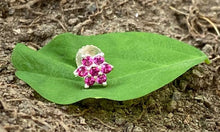 Load image into Gallery viewer, Flower Zircon Screw sterling Silver nosepin