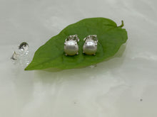 Load image into Gallery viewer, Fresh water pearls sterling silver 92.5 ear studs.
