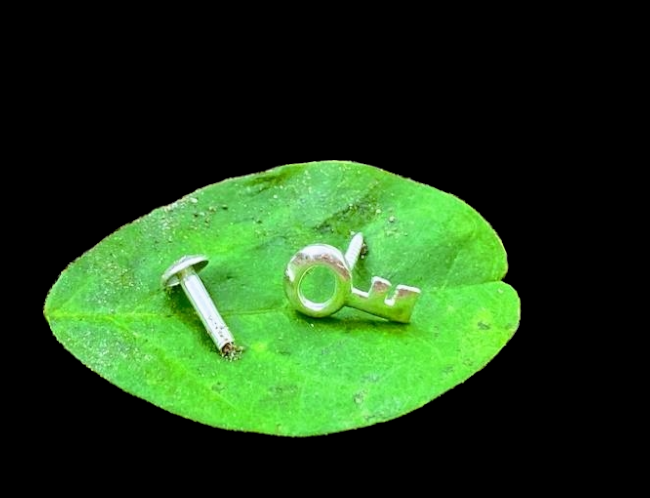 Key sterling Silver screw nosepin